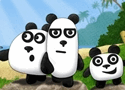 3 Pandas Games