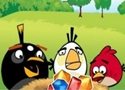 Angry Birds of Artillery Adventure Games