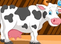 Holstein Cow Care Games