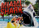 Miami Shark Game