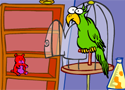 Polly papagályos Game