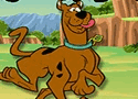 Scooby Doo Cup Run Games