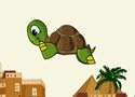 Turtle Dreams to Fly Games